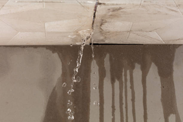 Professional Burst Pipe Cleanup technician working in Filion, MI